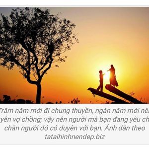 Meet your Posher, Viet